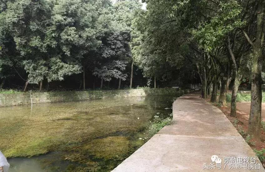 云南红河弥勒瀑布,弥勒滴水滩瀑布