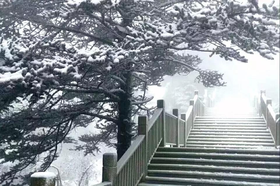 周末全家进山休闲玩嗨,全家出游赏花