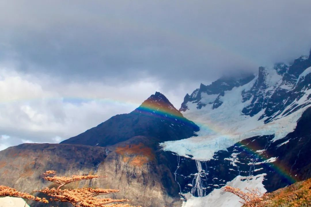 日本诺奖的秘密,日本获得过什么诺奖