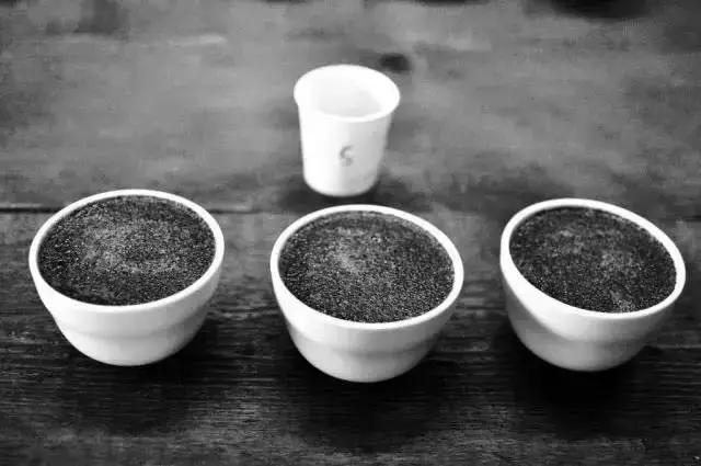 咖啡感官学习方法,咖啡知识如何训练咖啡味觉感官