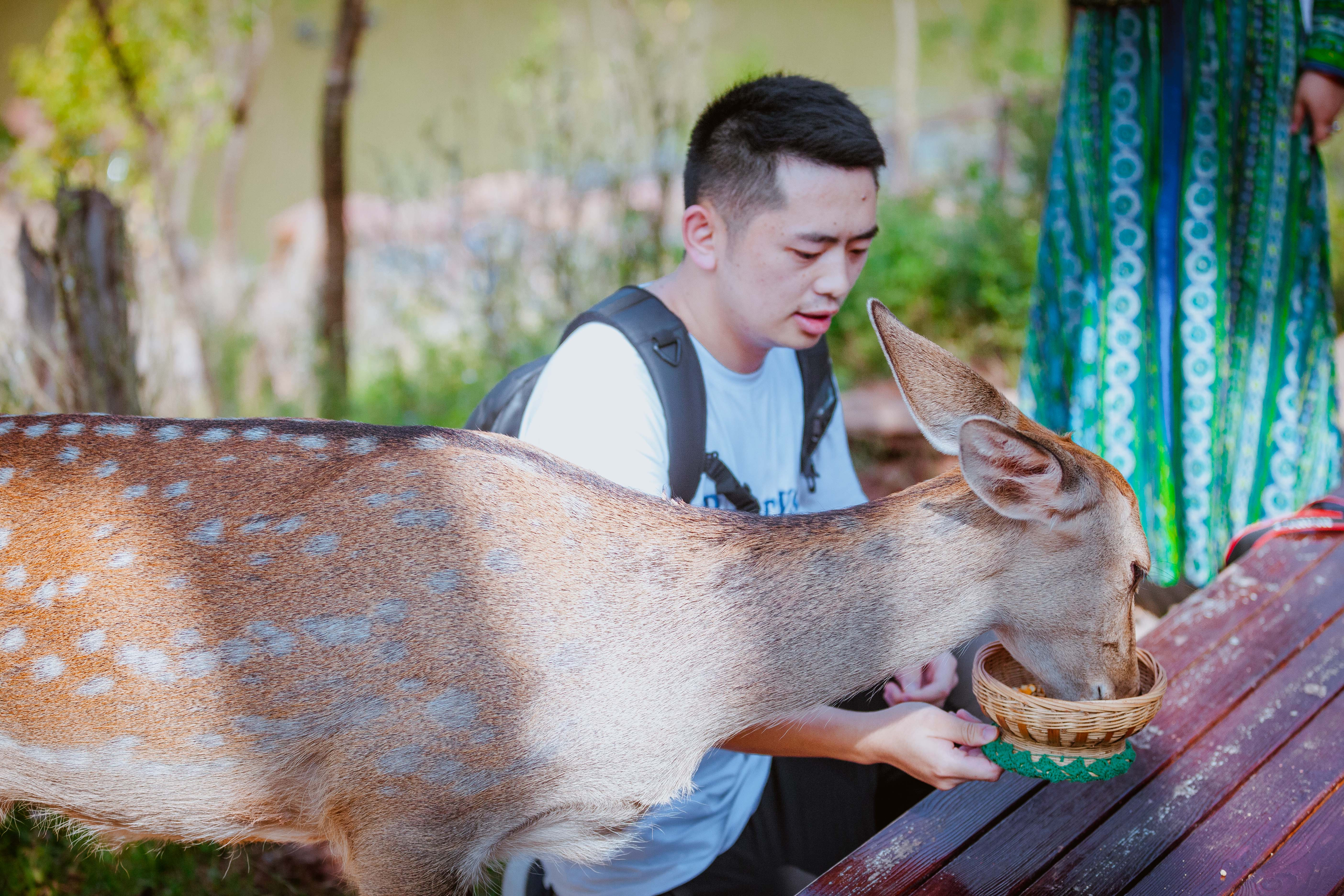 光唱歌就能给村里分红,曾祭人头的神秘佤族,走进你不知道的云南