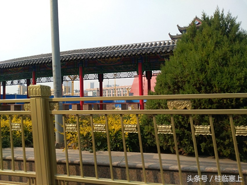 银川人民广场西门口,银川人民广场梧桐树