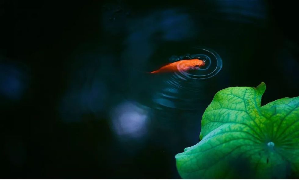 古有“九雅”，忘忧释怀丨私享·仿古