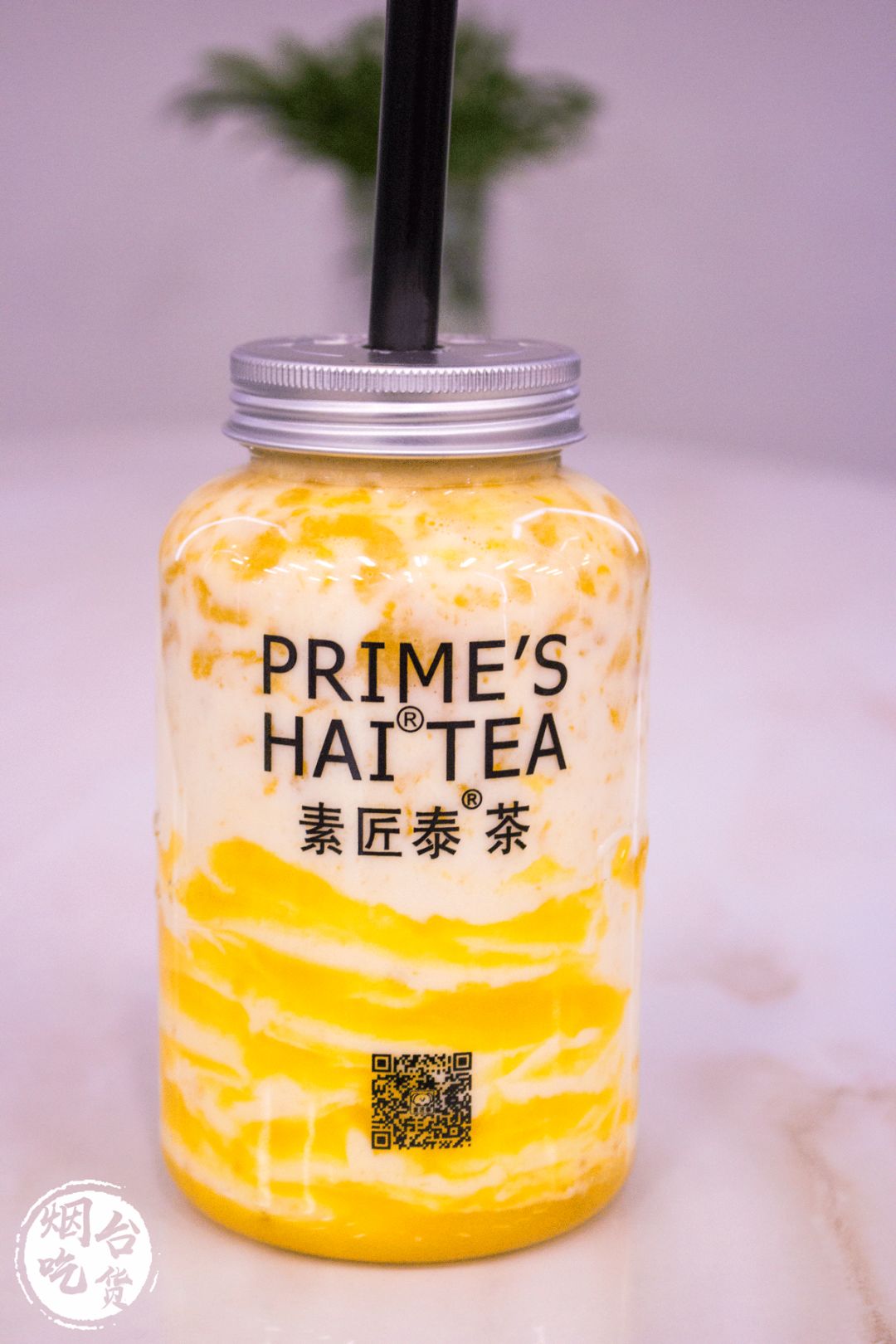 泉州泰茶,素匠泰茶为何这么火