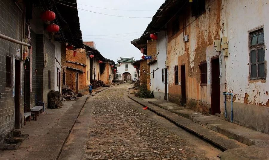 秋在广东很珍贵，若不细心寻找，它便静静地离开了