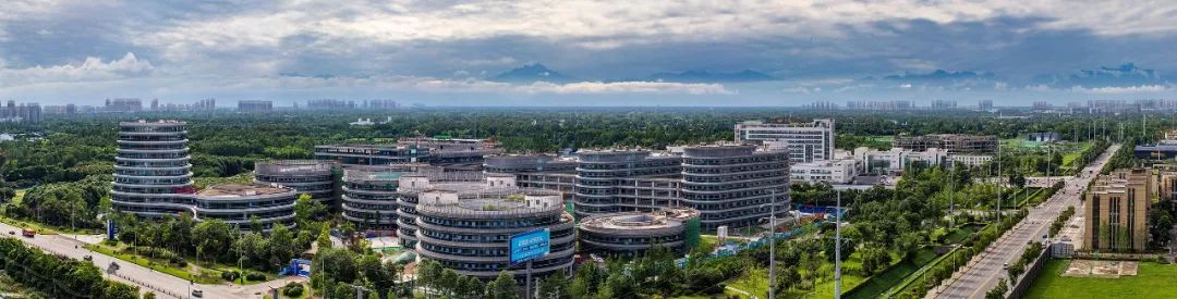 温江有什么魅力,温江人文底蕴深厚