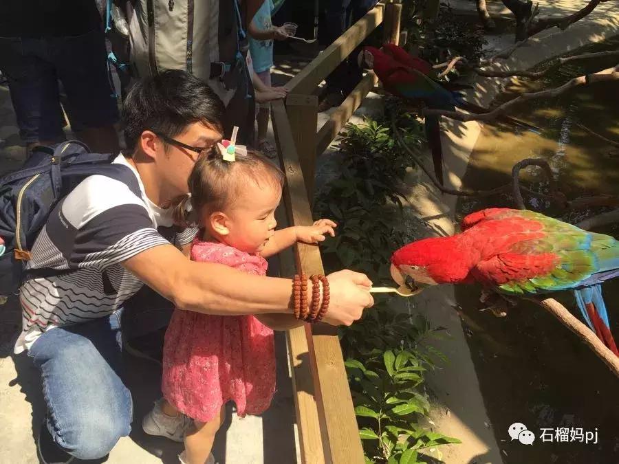 骞垮窞闀块殕椋為笩涔愬洯绁ㄤ环,闀块殕椋為笩涔愬洯灏忓绁ㄤ环