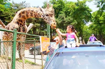 灵岩寺与趵突泉的区别,灵岩寺和趵突泉离多远