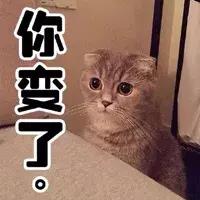 成都新津最新楼盘房价,新津房价一览表