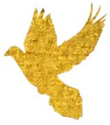 「冬令营」醉美云南·漫步丽江——浩然动力心理成长游学营