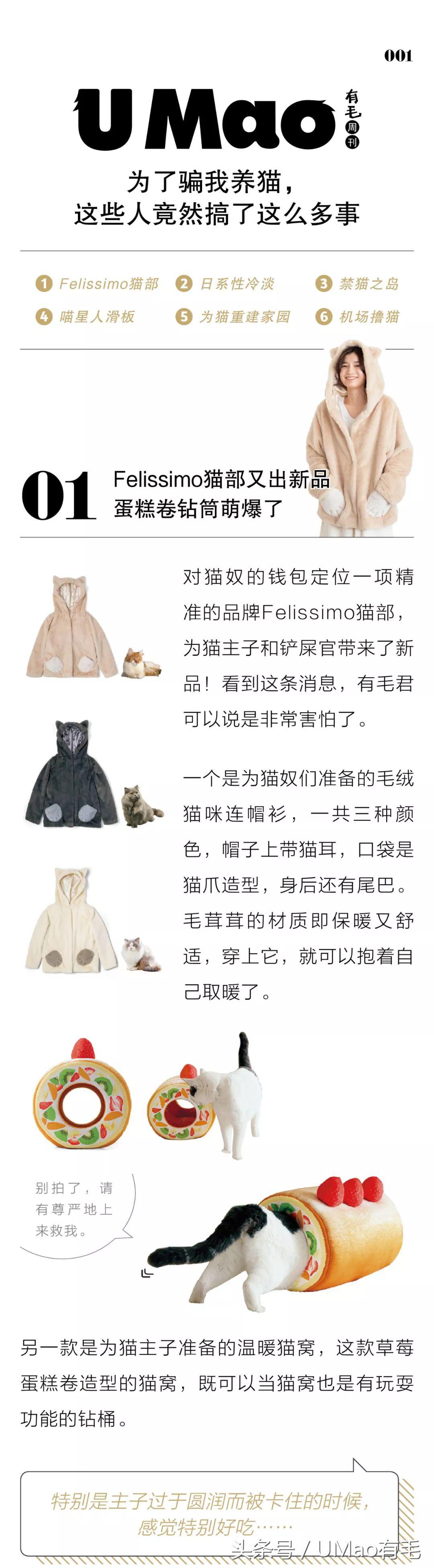 养猫人才懂的8大迷惑事件,养猫被忽悠的那些事