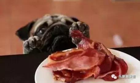 狗狗宠物冻干粮,宠物狗冻干粮