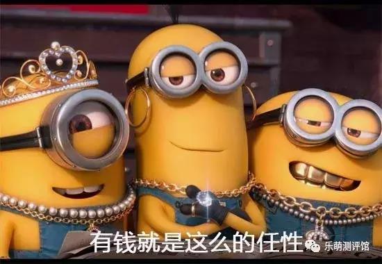 狗狗宠物冻干粮,宠物狗冻干粮