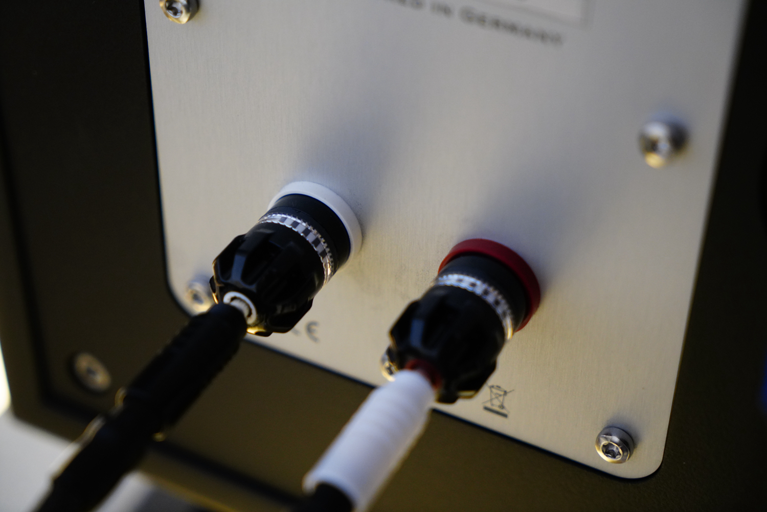 如美玉,德国dynamikks音箱