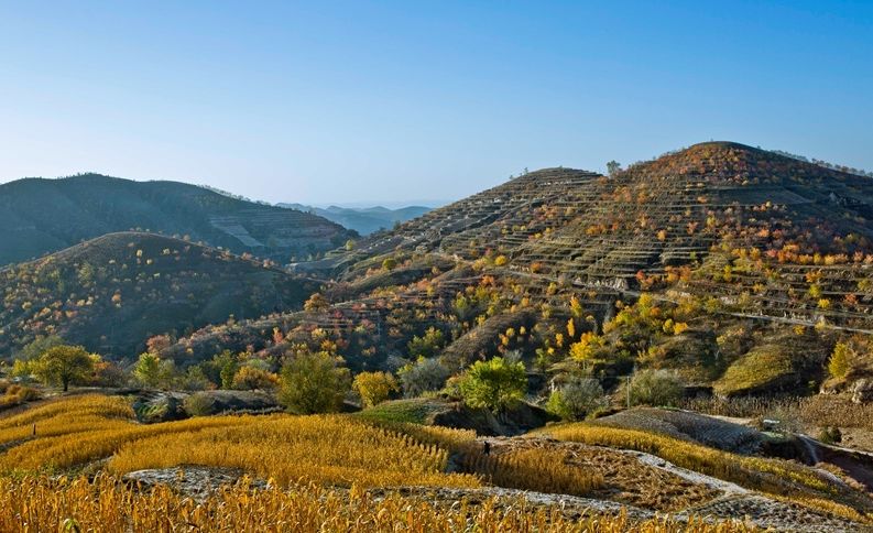 「新诗采撷」罗武第｜远方的思语诗九首