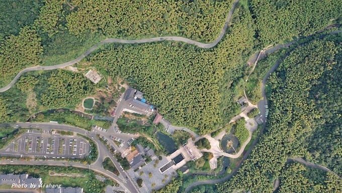 华东第一竹海在江苏哪个城市,亚洲第一天然氧吧蔡伦竹海