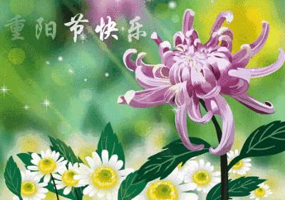 您有一条短信请查收,重阳节退休教师祝福短信