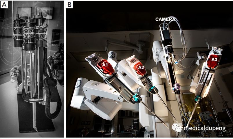 医学插画插图,医学插画sci