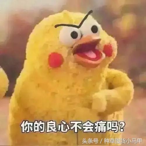 假货就是坑人最终坑的还是自己,假货都有哪些