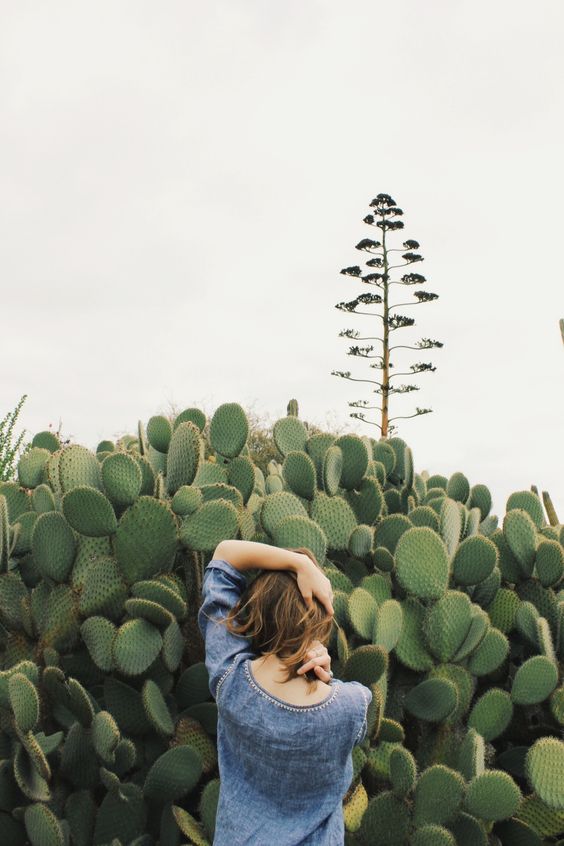 如何看星座上升星座,如何看一个星座的上升星座