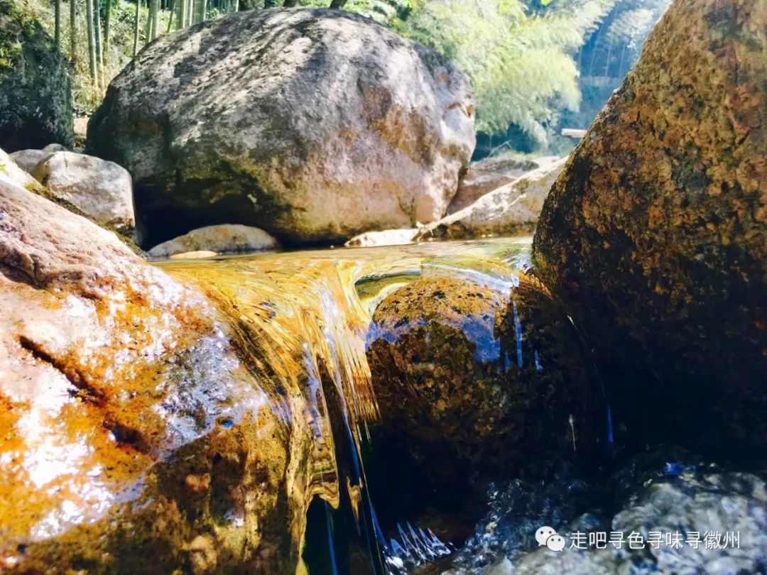 竹海扬波，溪山飞瀑｜心花开放在幽篁里