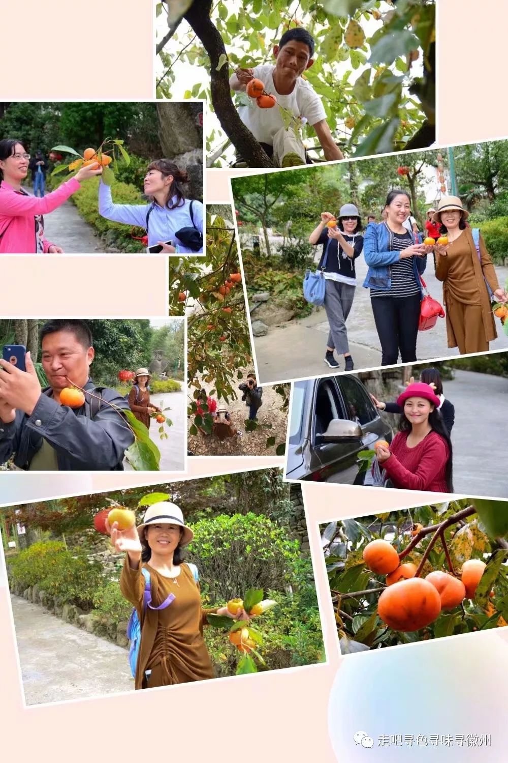 竹海扬波，溪山飞瀑｜心花开放在幽篁里