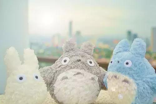 追女生的一些血泪史,追女生的十大血泪教训