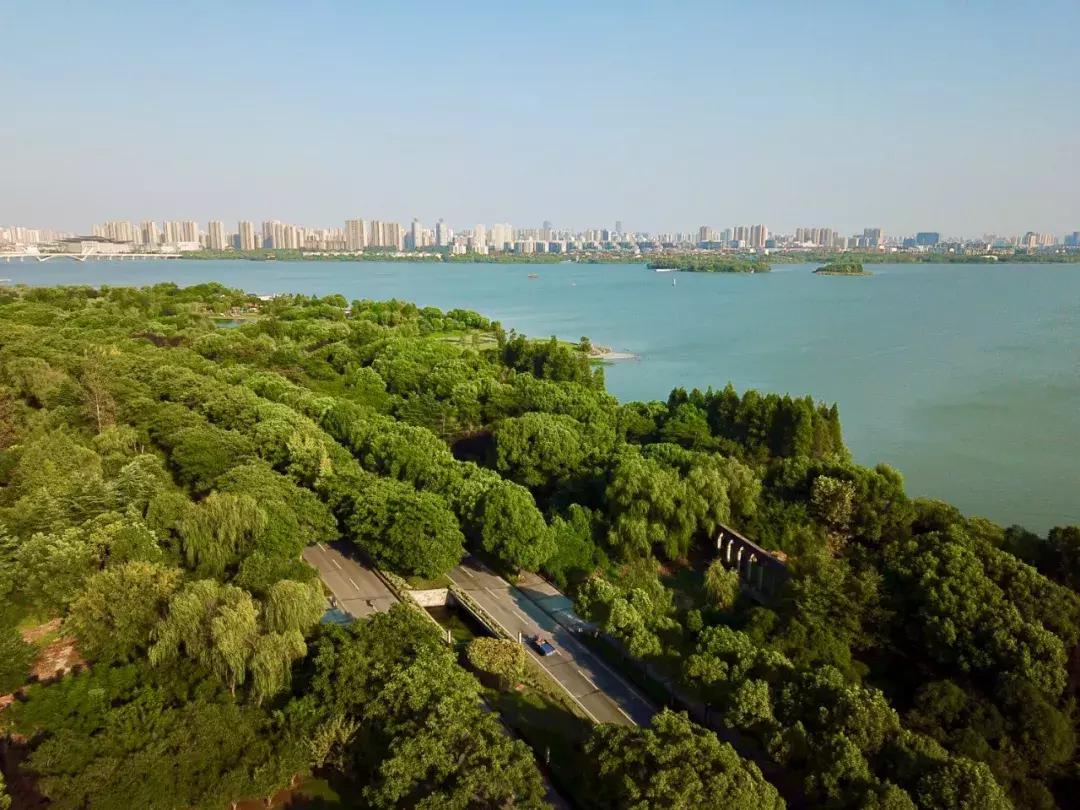 无锡鲁能万豪酒店什么级别,无锡鲁能万豪酒店有多少层