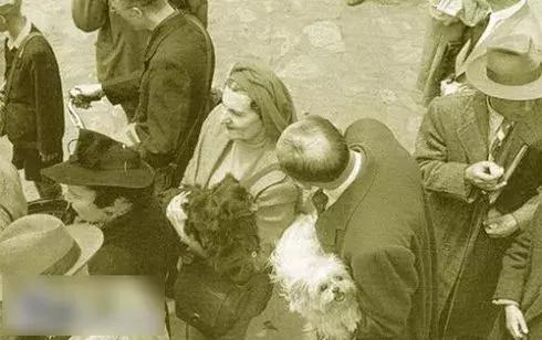 流光逝影：上海20世纪100年回眸「海量图片」