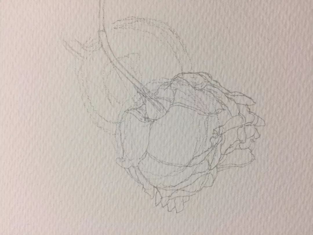 情人节用丙烯画画,情人节教我们画玫瑰