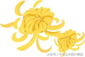 九九重阳节的古诗,九九重阳节浓浓敬老情