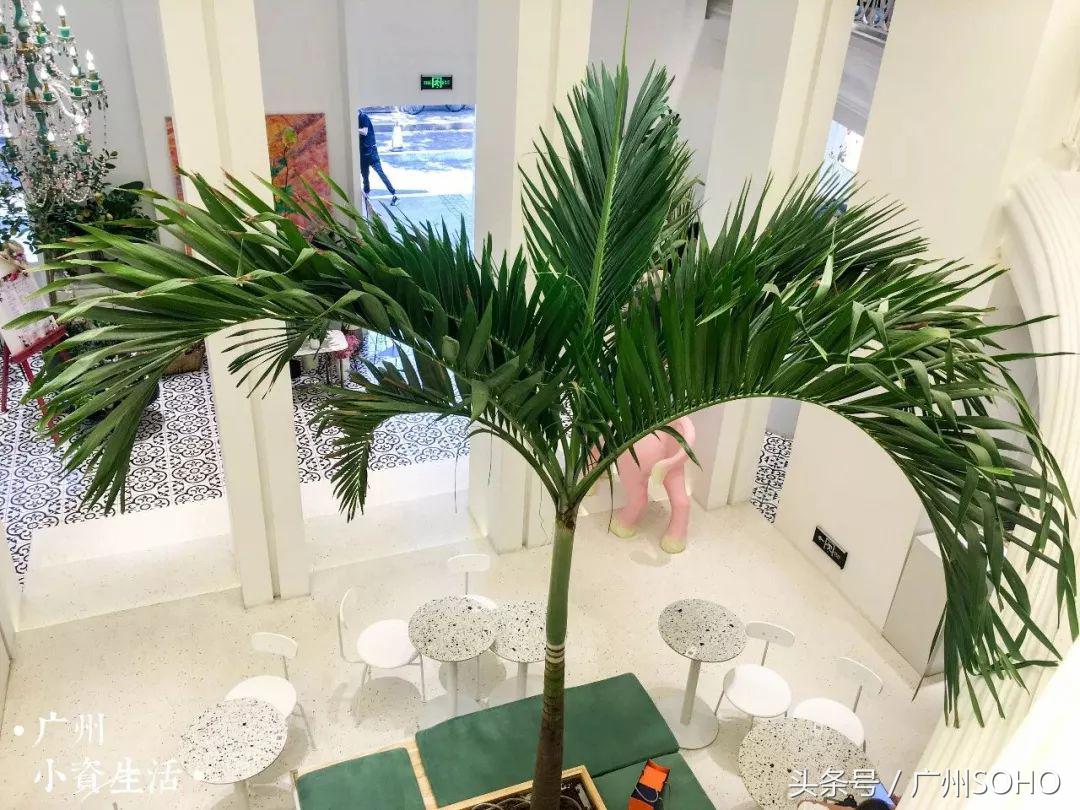 藏在沙面的这家网红生活馆，能吃能拍还能买，简直就是女生的天堂