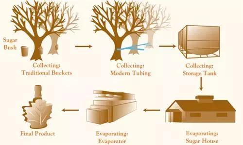 加拿大必入保健品清单,加拿大的保健品可以吃吗
