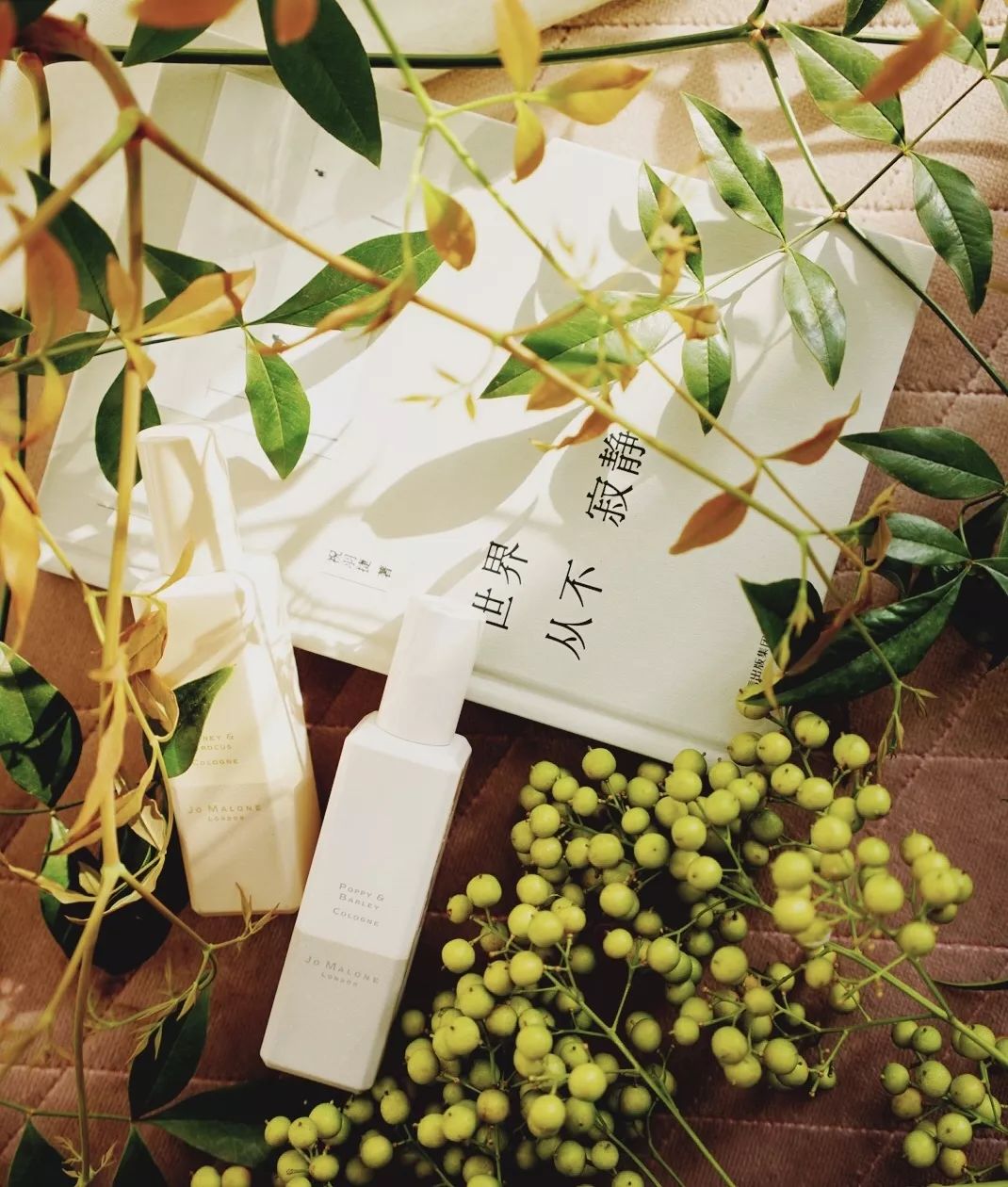 生命中就会充满阳光,生命中一旦有了某种期待