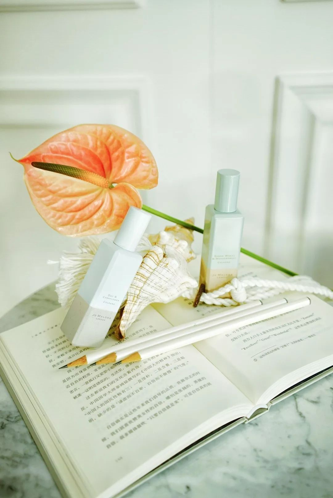 生命中就会充满阳光,生命中一旦有了某种期待