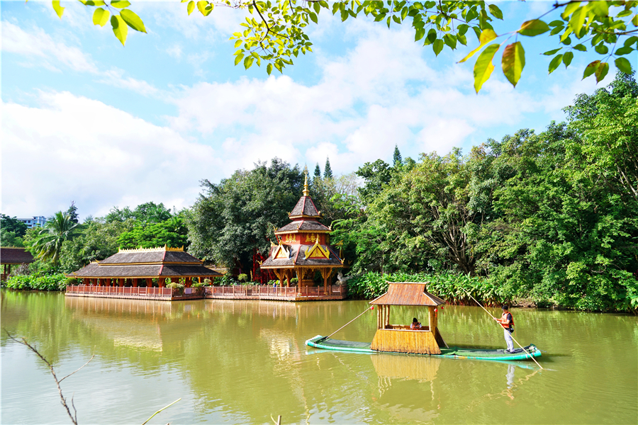 秀丽神奇的西双版纳完整版,云南西双版纳神奇的地方