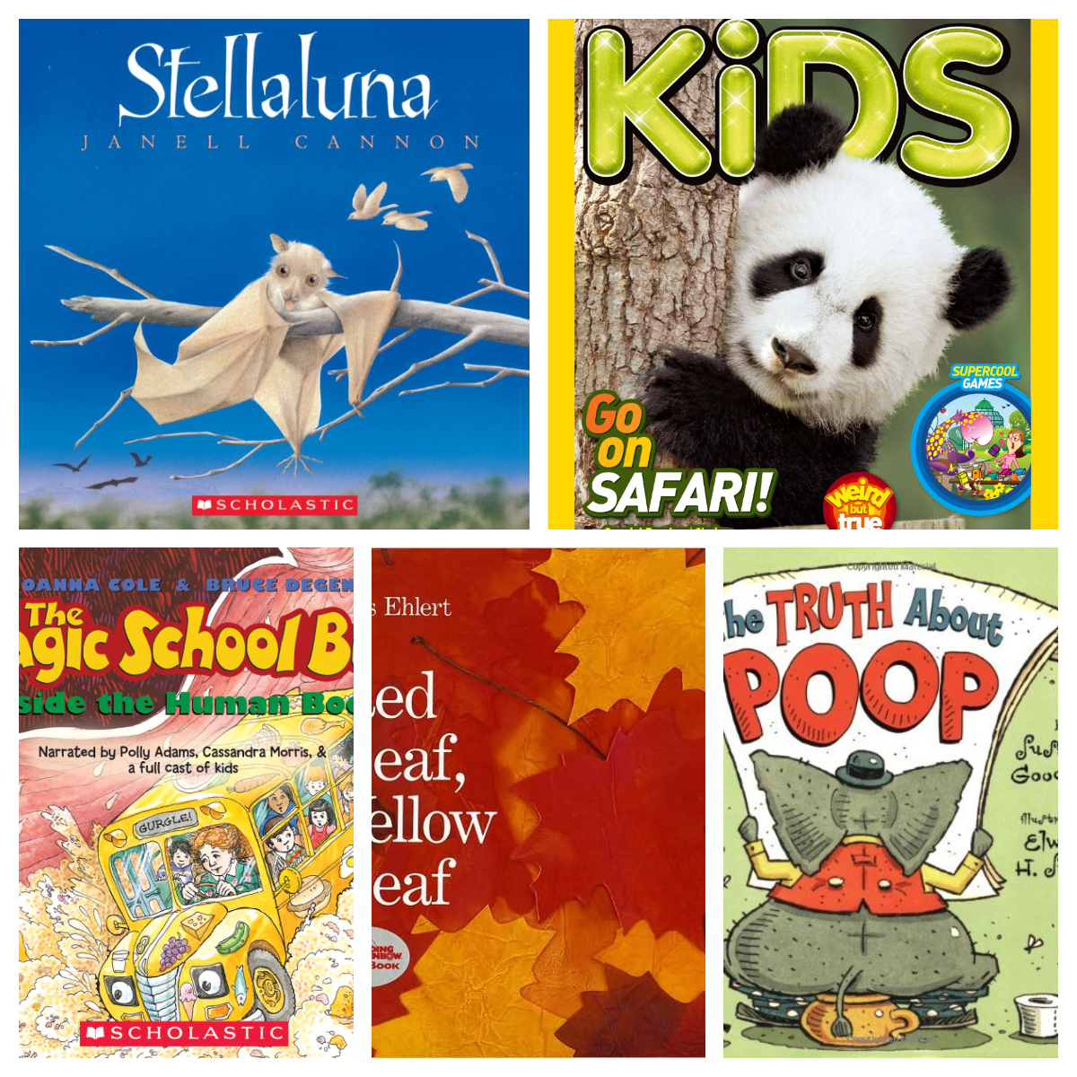 美国小学老师用这38本书，完成了5-9岁孩子的顶级配置图书馆