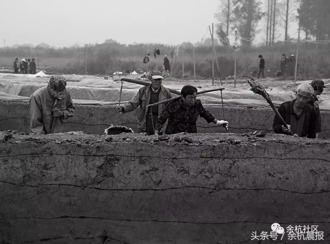 9090000㎡！余杭新增一大型公园，1299个足球场大！