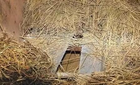 中国大案纪实-那些让人瞠目结舌的*奴性**案