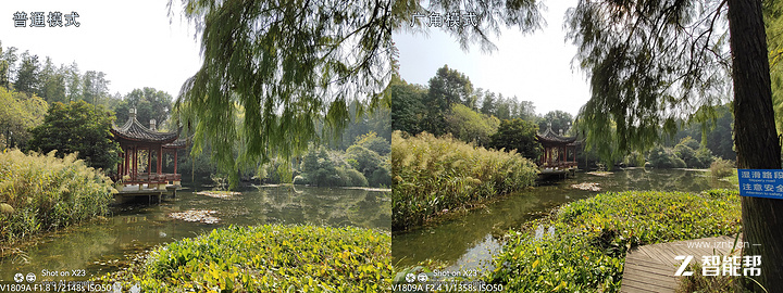 vivox23全面评测,vivox23个人评测别无他意