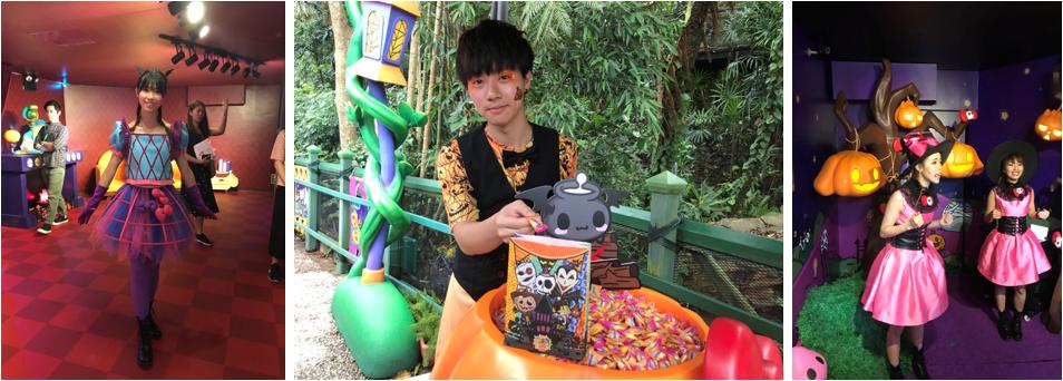 香港海洋公园11月,香港海洋公园北极之旅