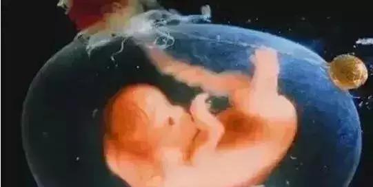 羊水为什么叫羊水秒懂知识,12周羊水什么样子