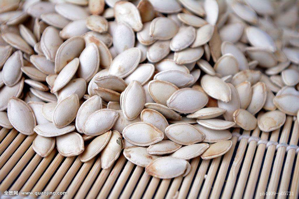 中药材南瓜子视频,生南瓜子购买