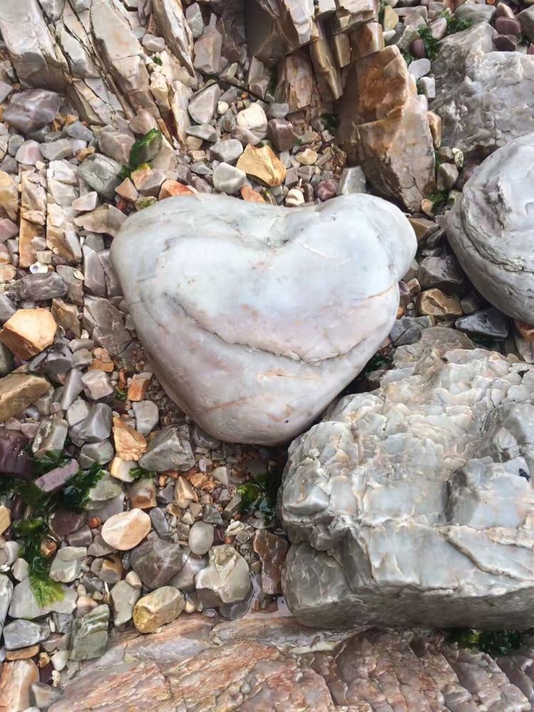 长岛一日游跟团烟台出发,长岛一日游北线好还是南线好