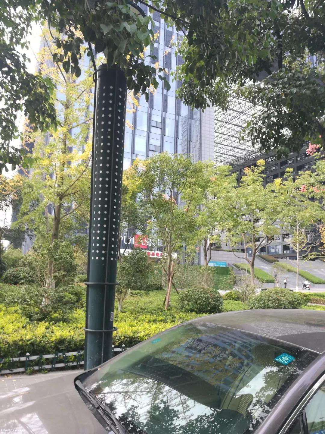 别人微信收到我的红包怎么办,微信违停被举报怎么解除