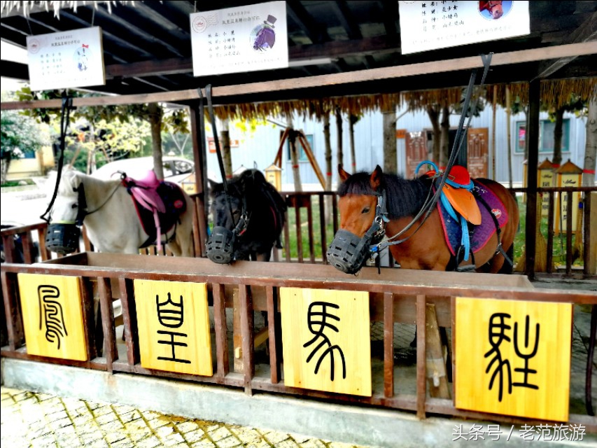赏山赏水享人生,赏景温泉