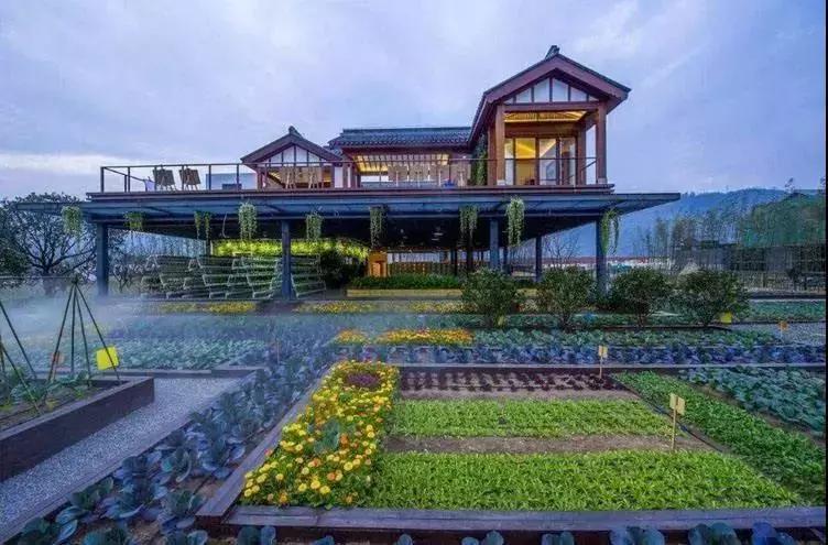 农业政策扶持项目多少亩有补贴,农业项目补贴政策有哪些