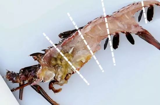 如何处理龙虾才是正确方法,龙虾活虾怎么处理最快又干净