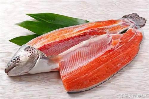 狗狗的伤口化脓怎么办，狗狗伤口化脓怎么处理