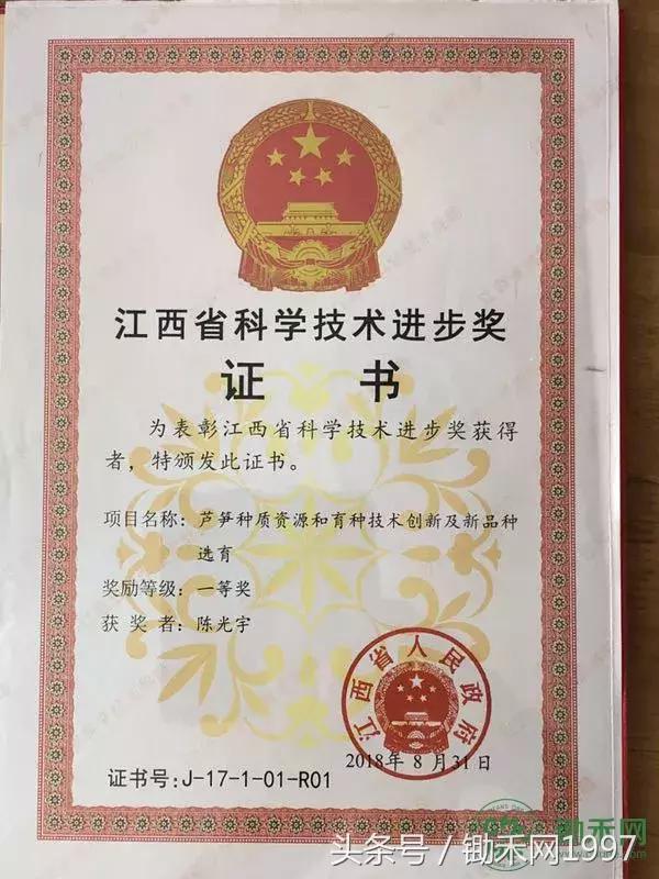 陈光宇宣传大棚芦笋种植技术视频,芦笋之父陈光宇